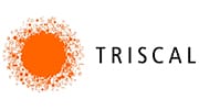 home-logo-clientes-triscal