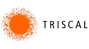 home-logo-clientes-triscal