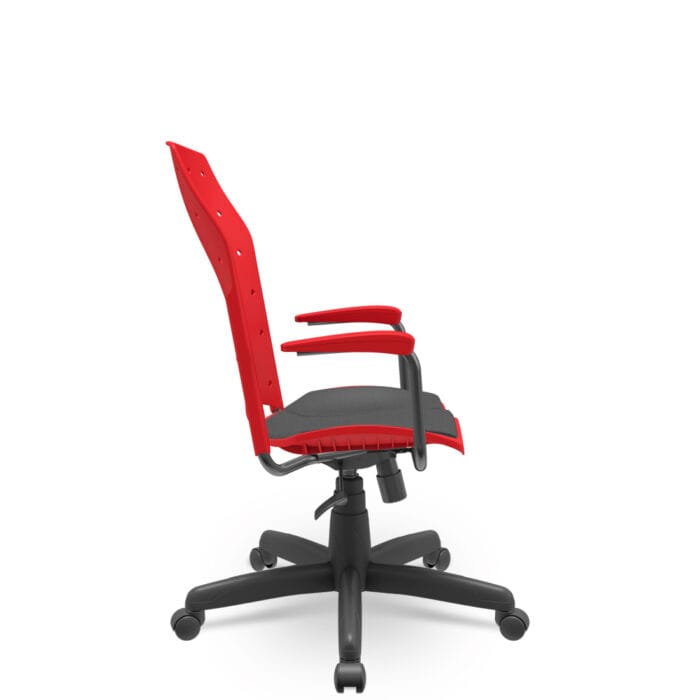 Cadeira Ergoplax - Imagem 2